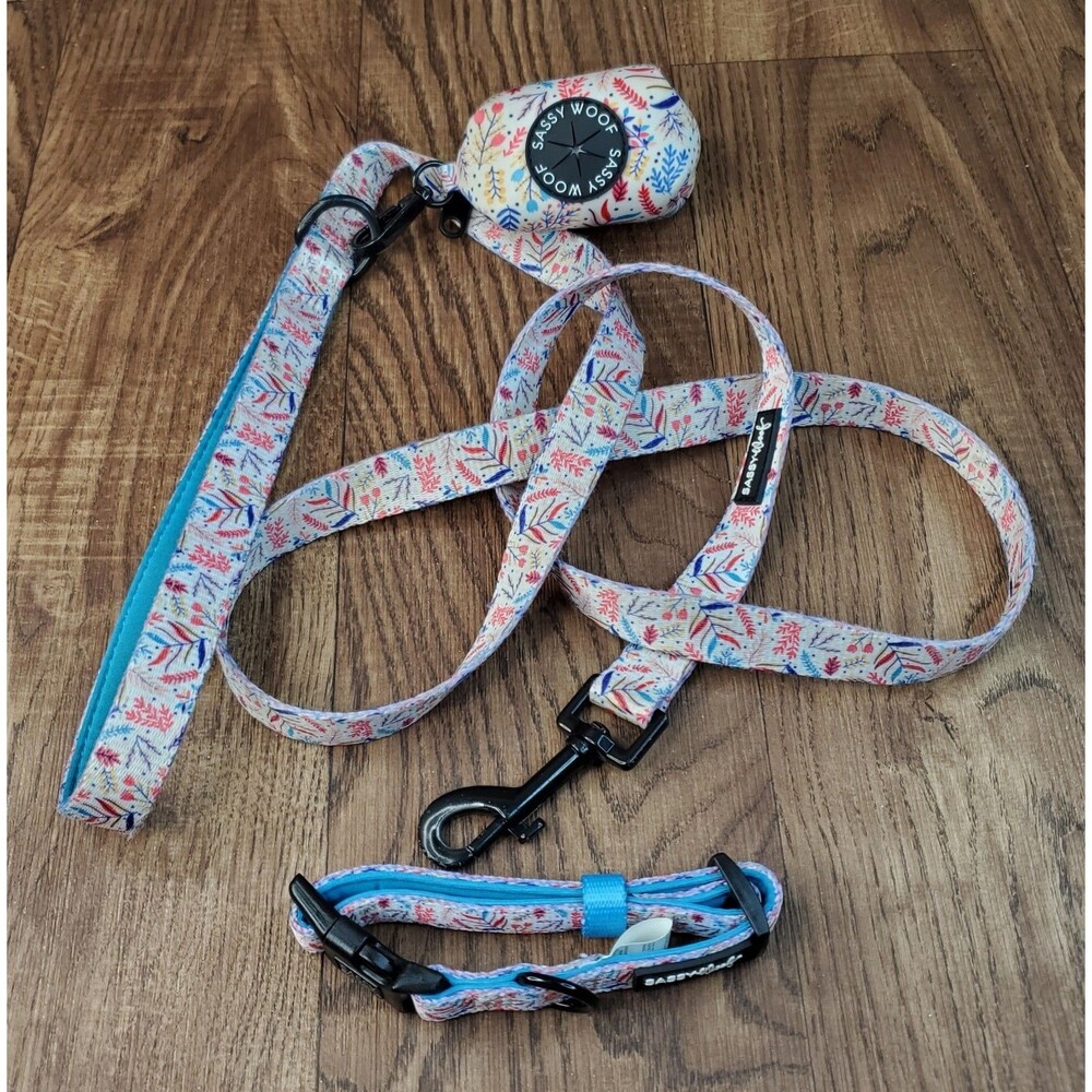Sassy Woof Dog Collar Leash Matching Set Blue White Floral Size Small